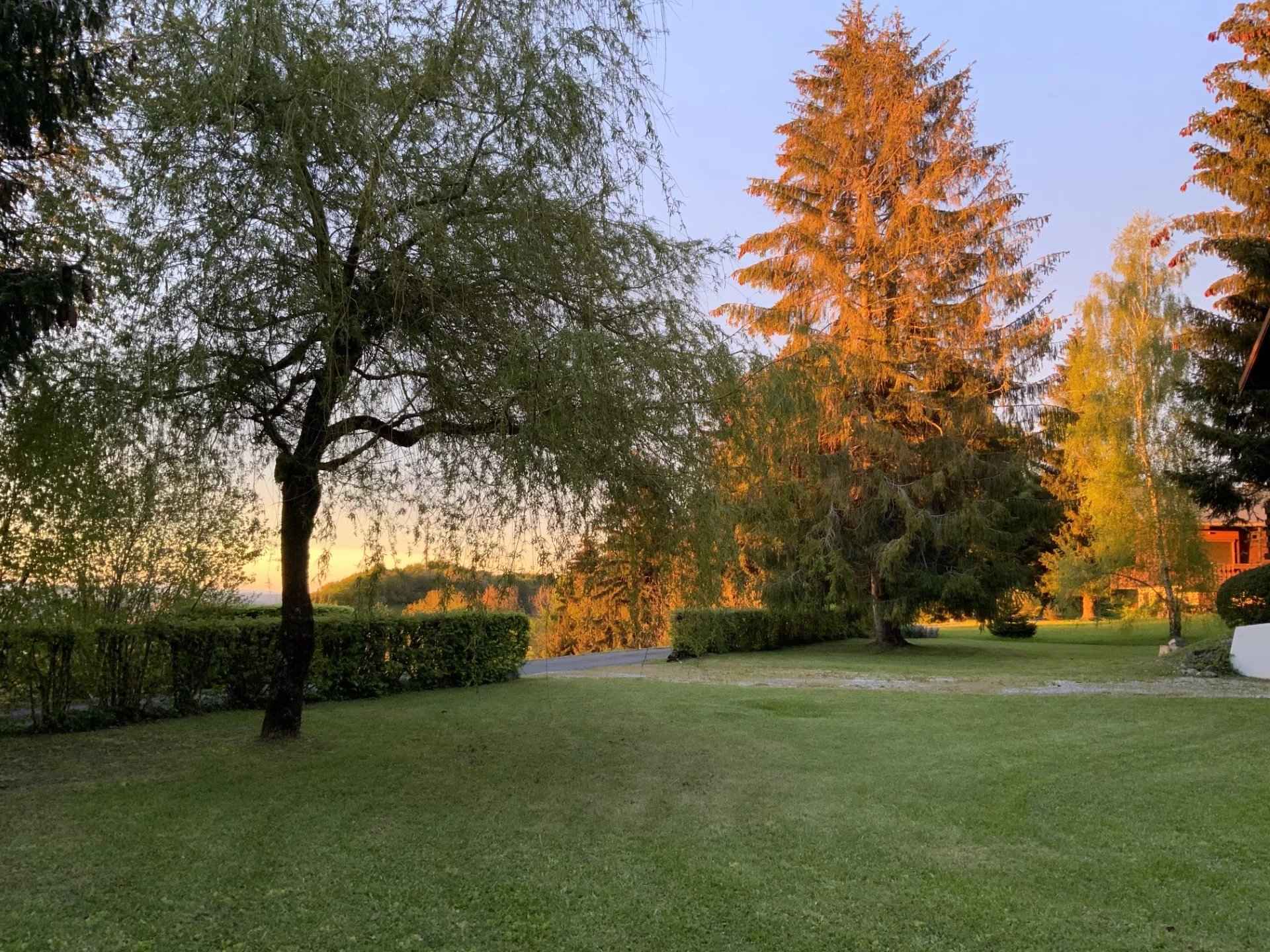 À vendre chalet Thonon-les-Mémisses